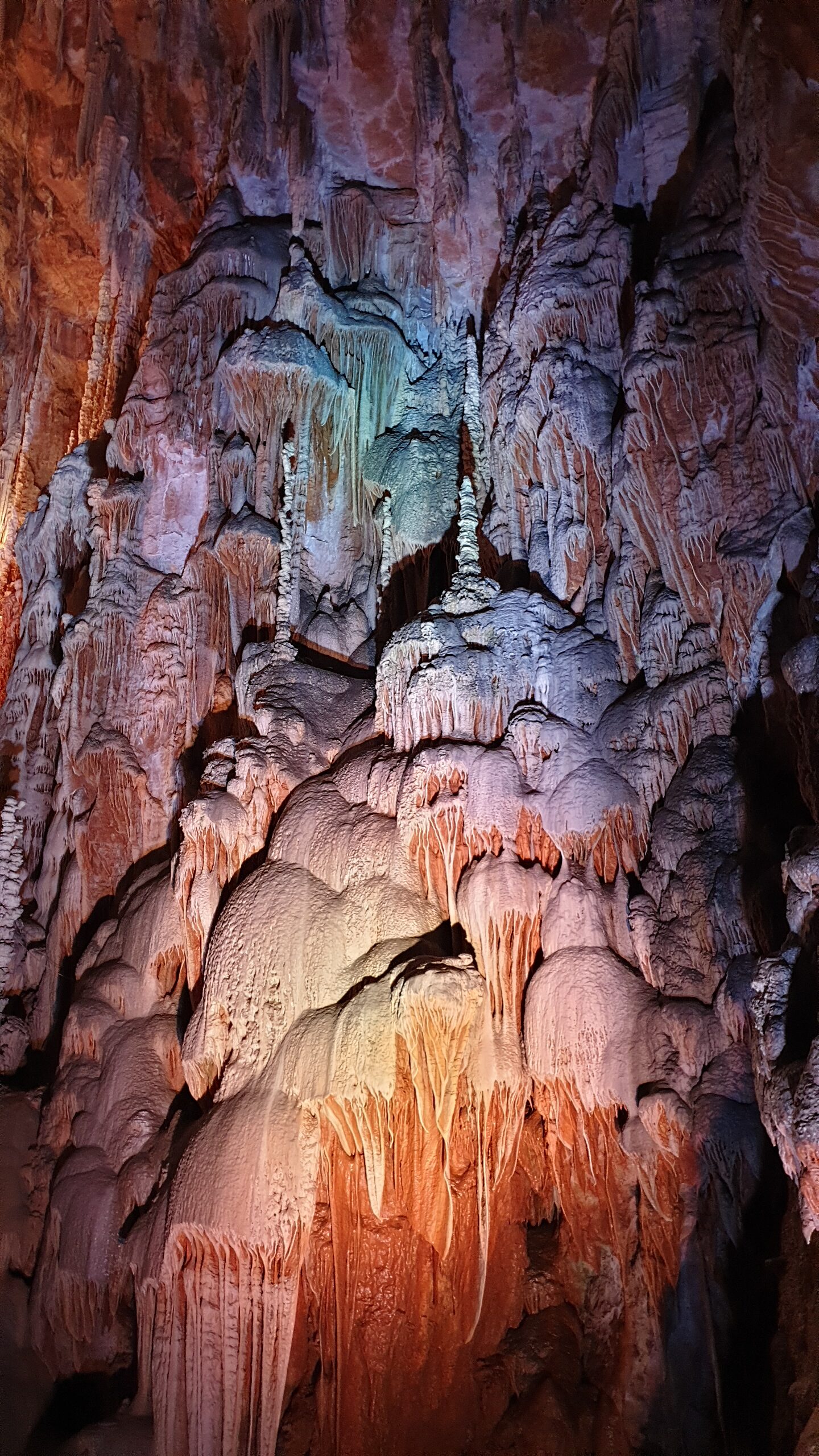 Carême 2026 : Quand s'émerveiller devient un acte de Foi